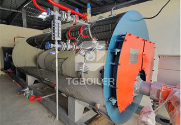 2TON/H Skid-Mounted Type Gas Boiler WNS2-1.25-Y(Q) Working in Oman for Paper Mill Plant