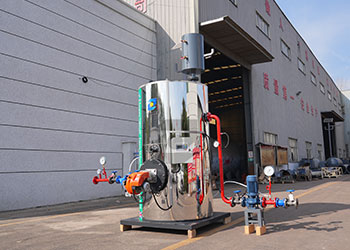 tgboiler new vertical oil/gas-fired hot water boiler