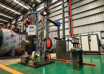 300kg vertical biomass steam boiler for the brewing industry