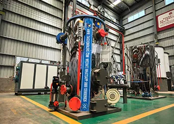 0.3-ton vertical biomass steam boiler for the brewing industry