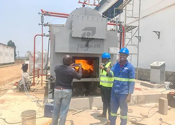 tgboiler 3ton/h biomass steam boiler works in tanzania