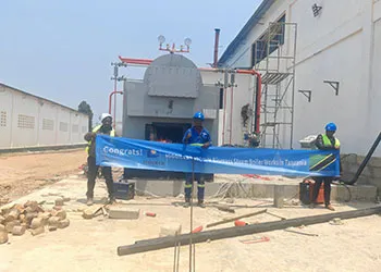 tgboiler 3000kg biomass steam boiler works in tanzania