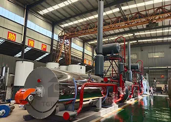 5ton thermal oil boiler used in mexican food processing plant