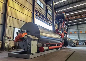 5ton thermal oil boiler used in food processing plant