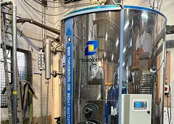 vertical gas-fired steam boilers ordered by the customer has arrived in uk