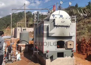 2tons/h coal biomass fired steam boiler in Philippines