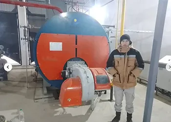 Gas-fired Steam Boiler Successfully Finished The Installation in Uzbekistan 