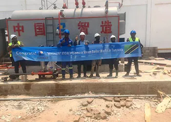 tgbioler 3ton/h biomass steam boiler installed in tanzania