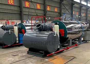 TGBoiler's Global Business Continues to Expand (2).webp