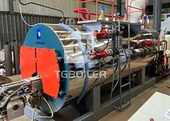 The WNS8 Series Dual-Fuel Steam Boiler Successfully Completed