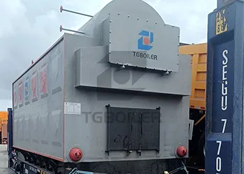TGboiler 6000kg biomass steam boiler will ship to Bangladesh