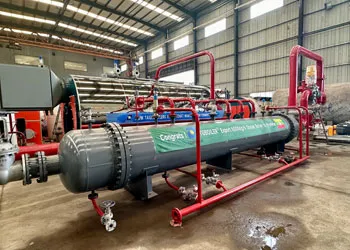 tgboiler horizontal gas heating steam boiler was successfully completed