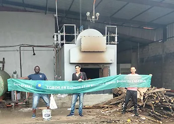 tgboiler 3ton/h biomass steam boiler