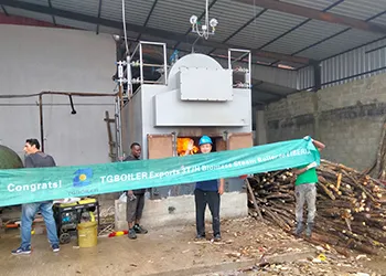 tgboiler 3ton/h biomass steam boiler