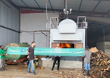 tgboiler 3000kg/h biomass steam boiler