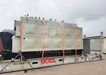 2ton/h coal biomass fired steam boiler for fish mill