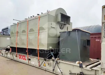 tgboiler 2000kg/h coal biomass fired steam boiler for fish mill