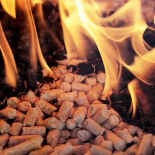 advantages of biomass steam boilers