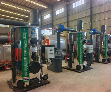 biomass hot water boiler