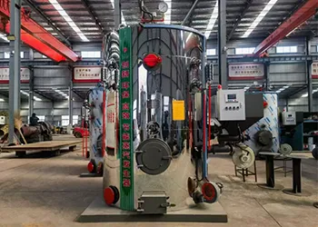 LHG Series 1tonH Vertical Biomass Boiler Exported to Colombia (1).webp
