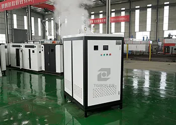 tgboiler 300kg electric steam boiler to ship to france