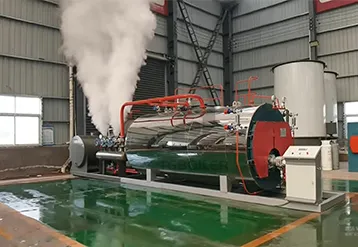 2TPH Natural Gas Steam Boiler for Food Processing Plant (2).webp