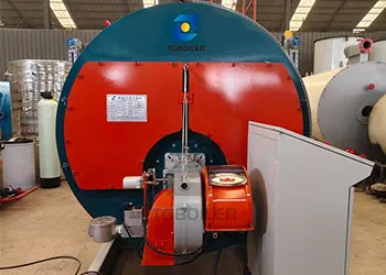 3tph natural gas fire tube boiler for the medical sterilization