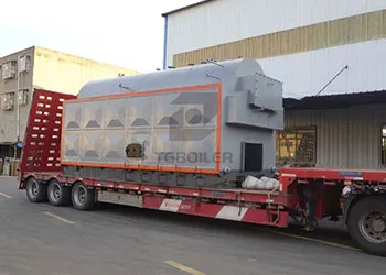 tgboiler 2ton biomass steam boiler exported to pakistan