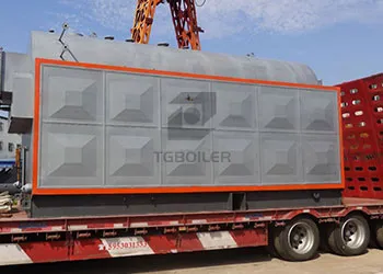 tgboiler 2ton biomass steam boiler exported to pakistan