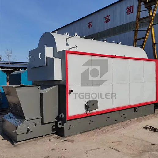what a DZL steam boiler is (1).webp