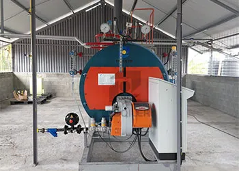 2 t/h natural gas steam boiler project in trinidad and tobago