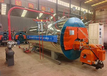 3 t/h Natural Gas Steam Boiler Solution for Distillery in Mexico