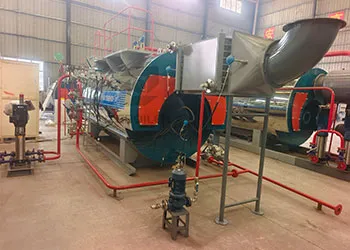 tgboiler exports 3 t h natural gas boiler to mexico
