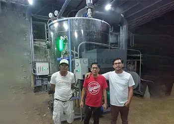 TGBOILER 2-Ton Vertical Biomass Steam boiler Was Working In The Rubber Factory