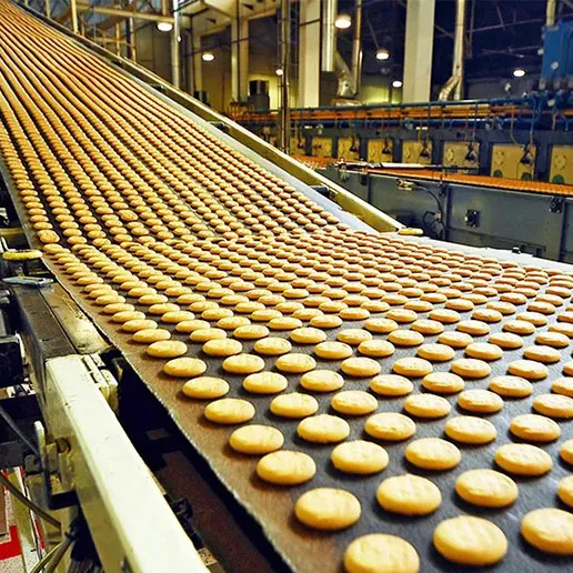 Guide to Selecting Steam Boilers for Food Processing Plants (3).webp
