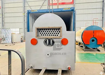 DZH series biomass boiler manufactured by TGBOILER