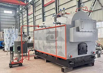 DZH series biomass boiler manufactured by TGBOILER