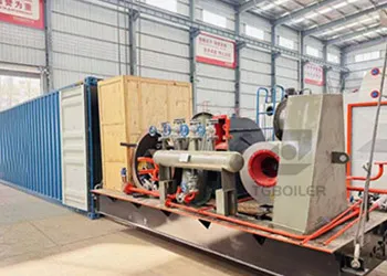 DZH series biomass boiler manufactured by TGBOILER