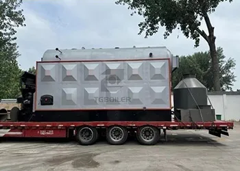 4 th Biomass Chain Grate Boiler Exported to Bangladesh (2).webp