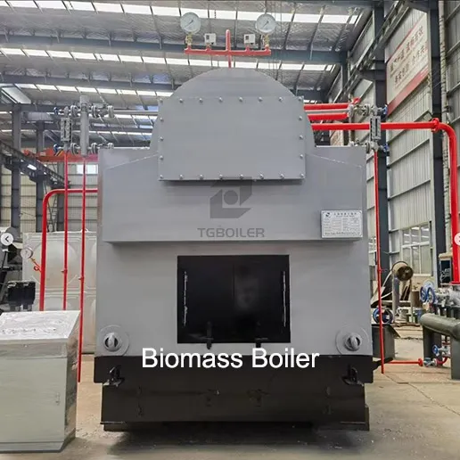 TGBoiler biomass boiler.webp