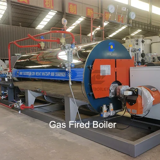 tgboiler gas fired steam boiler.webp