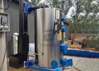 1th Biomass Steam Boiler for Wood Processing Plant.webp