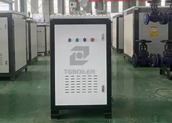 100 kgh Vertical Electric Steam Boiler for a Dental Clinic (2).webp