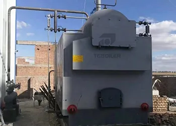 2 Ton Biomass Steam Boiler Installed at a Feed Mill in Cambodia (2).webp