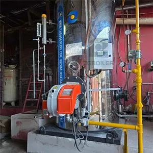 tgboiler 500 kgh Vertical Gas Fired Steam Boiler Installed in Jamaica