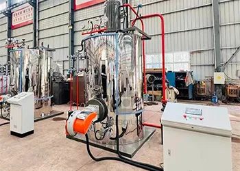 1 ton fully automatic vertical steam generator project in philippines
