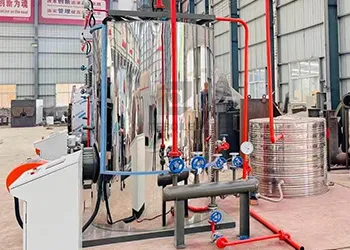 1 ton fully automatic vertical steam generator project in philippines