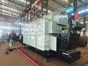 TGBOILER dzl biomass steam boiler