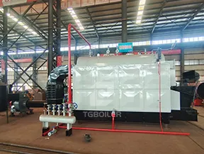 TGBOILER dzl biomass steam boiler