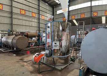 1 t/h vertical fire-tube boiler powers mushroom farm